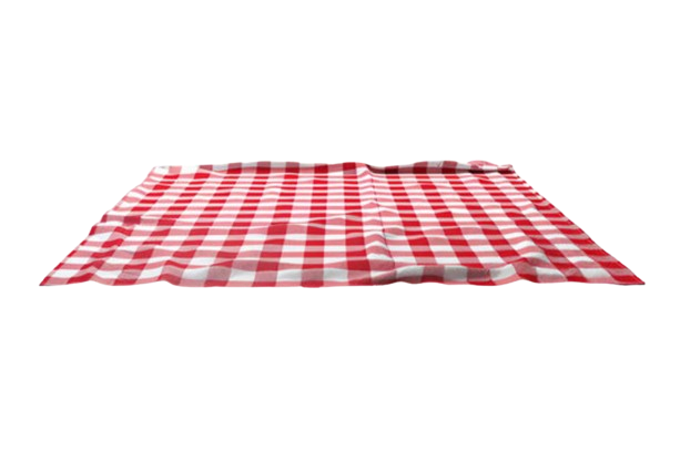 Picnic Blanket